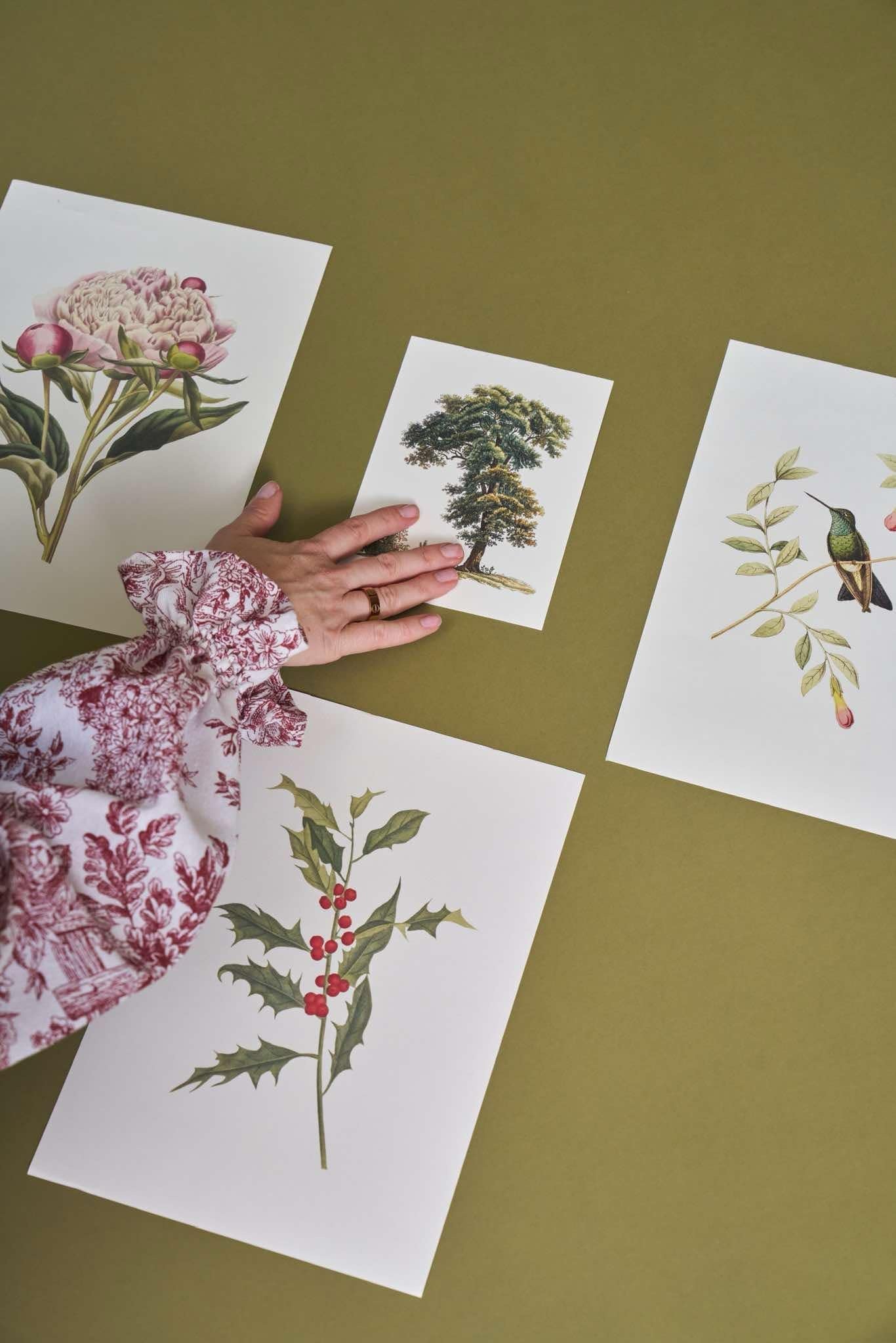 Vintage Botanical Prints A4
