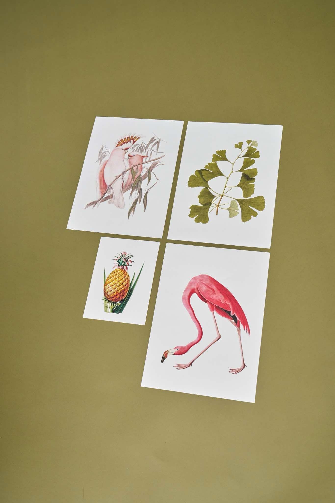 Vintage Botanical Small Prints